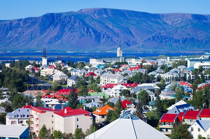 Private Luxury City Tour Reykjavik - Who This Tour Suits Best