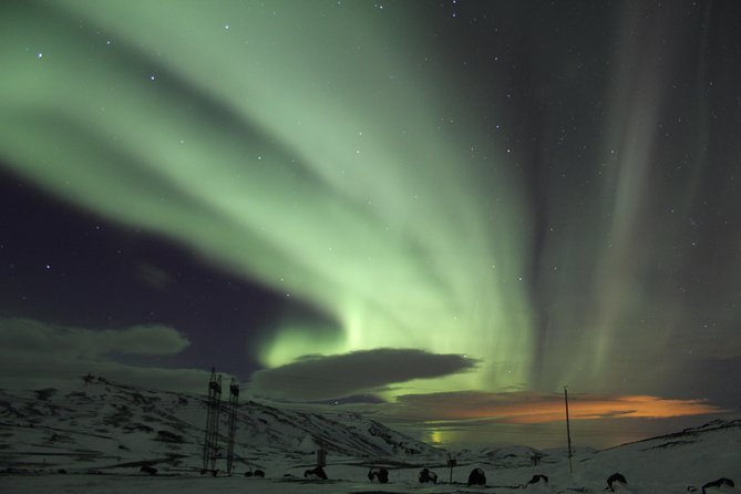 Private Monster Truck Northern Lights Hunt from Reykjavik - Pickup timing from Reykjavik, and how the night is paced