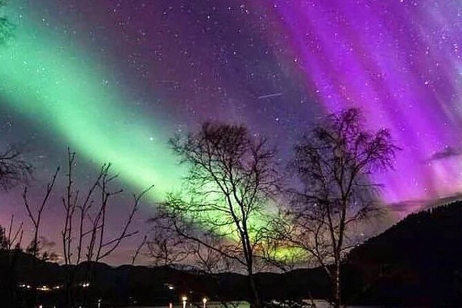 Private Northern Lights Tour from Reykjavik - Your guide’s role: more than spotting lights