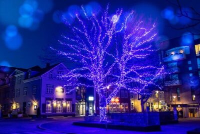 Private Reykjavik Christmas Walking Tour