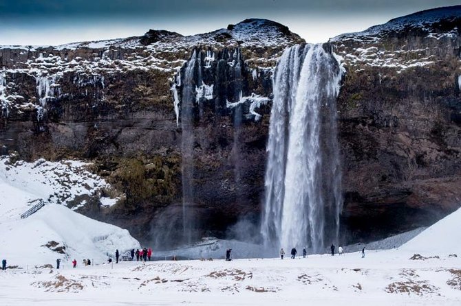 Private South Coast Tour from Reykjavik - Reynisfjara black sand beach: basalt patterns and half caves