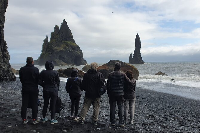 Private South Coast Tour in Multi-Language Guide Options - Reynisfjara beach: black sand, basalt columns, and sea stacks
