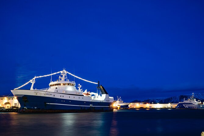 Private Transfer Service from Hotels in Reykjavik to Cruise Ship Terminal - Luggage Reality Check: When Van Size Matters