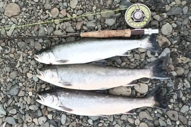 Private Trout and Char Fishing in Icelandic Serenity Experience - Who Should Book This Private Trout and Arctic Char Day Trip