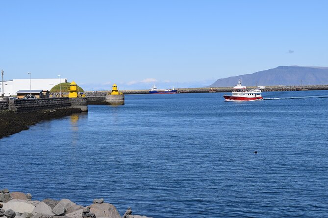 Private Walking Tour with Food in Reykjavik by Otto the Viking - Lake Tjörnin and a slow breath in the middle of town