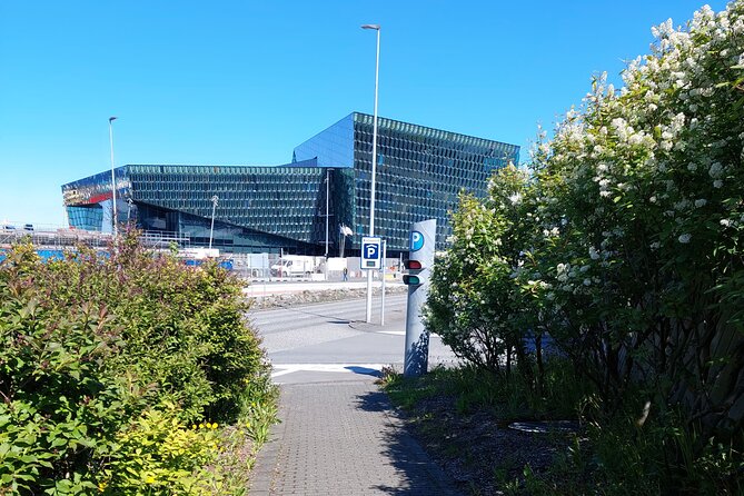 Private Walking Tour with Food in Reykjavik by Otto the Viking - Reykjavik City Hall: modern administration with a lakeside setting