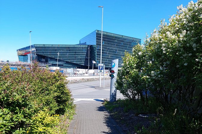 Private Walking Tour with Food in Reykjavik by Otto the Viking - Laugavegur: where the tour turns practical with food time nearby
