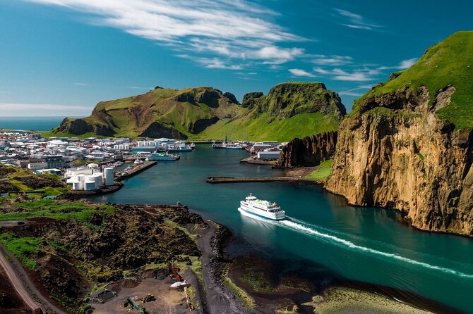 Private Westman Islands with Puffins and Belugas (Lunch included) - A Reykjavik-to-Heimaey day that feels like two trips in one