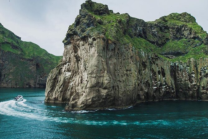Private Westman Islands with Puffins and Belugas (Lunch included) - Eldheimar Museum and the 1973 eruption story you can walk through