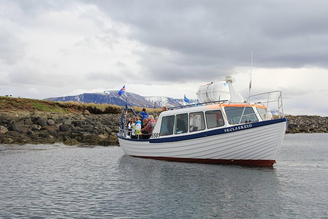 Puffin Cruise with Expert Tour Guide from Reykjavik - The Akurey run: what happens during the short cruise