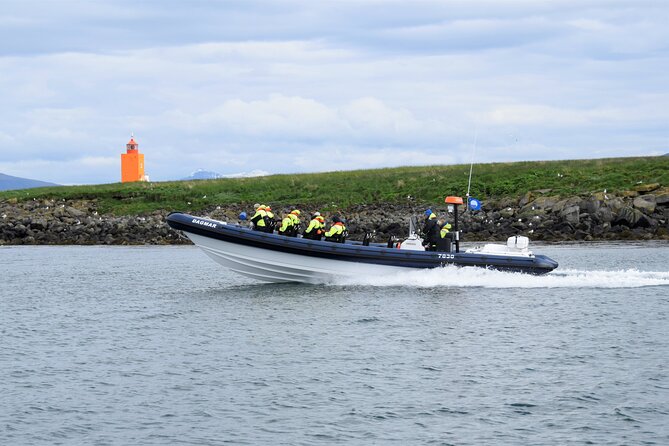Puffin Express by RIB Speedboat from Reykjavík - Key points worth knowing before you go