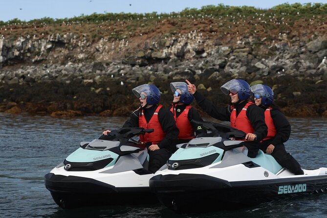 Puffin Jet ski tour in Reykjavík - Why this puffin jet ski tour feels more real than a standard boat ride