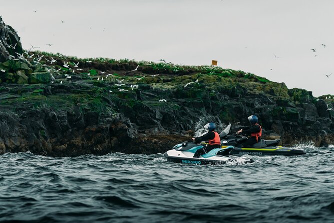 Puffin Jet ski tour in Reykjavík - Price and value: is $179 per person worth it?