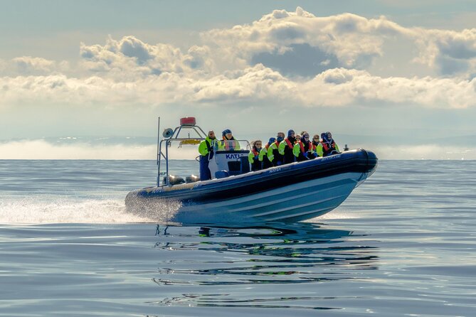 Puffin Watching Speedboat Express - Warm Waterproof Gear That Makes the Tour Work