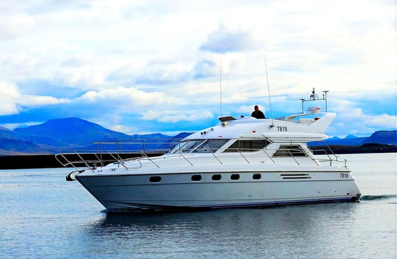 Puffin Watching Yacht Cruise from Downtown Reykjavík - Who This Cruise Fits Best