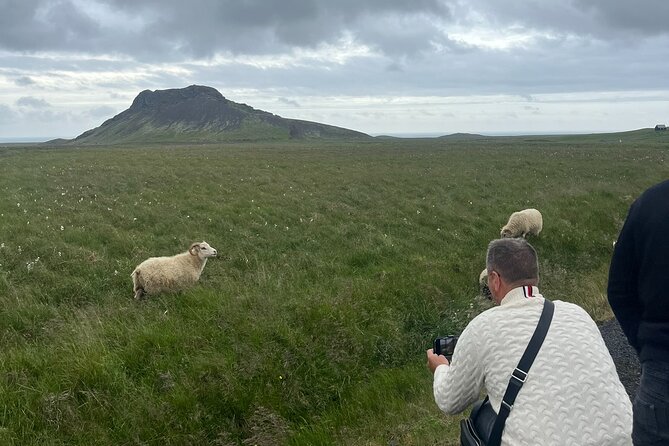 Reykjanes Peninsula Private Tour - Key points to know before you go