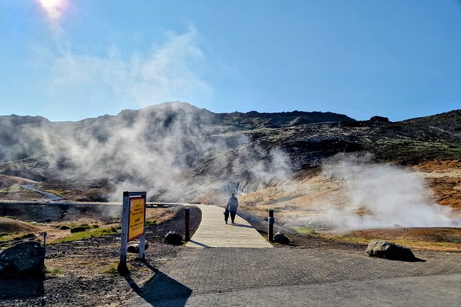 Reykjanes Peninsula Private tour Iceland - Cost per group, not per seat: is $600 worth it?