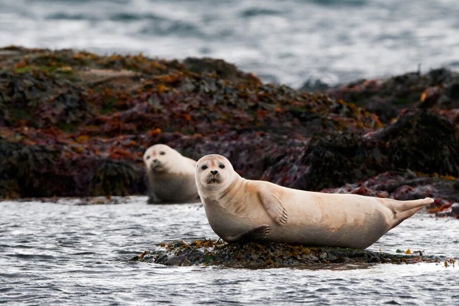 Reykjavik: 2-Day West Tour with Snæfellsnes & Silver Circle - Inclusions and Admissions That Save You Money, Not Just Time