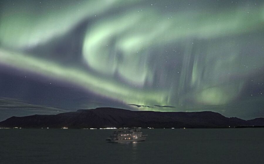Reykjavik: 2-Hour Northern Lights by Boat with Backup Plan - When the lights are hidden: the Whales of Iceland museum backup plan