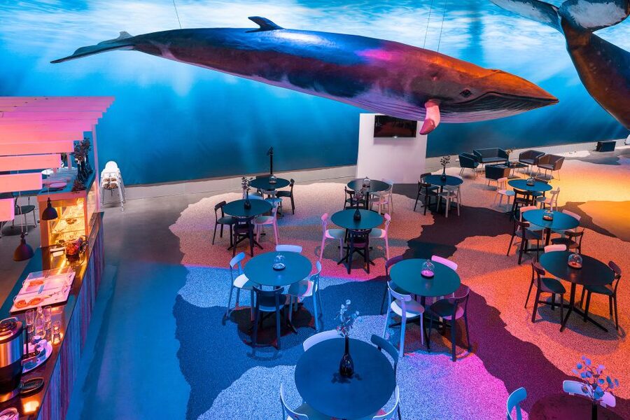 Reykjavik: 2-Hour Northern Lights by Boat with Backup Plan - Practical tips to make your night easier and warmer