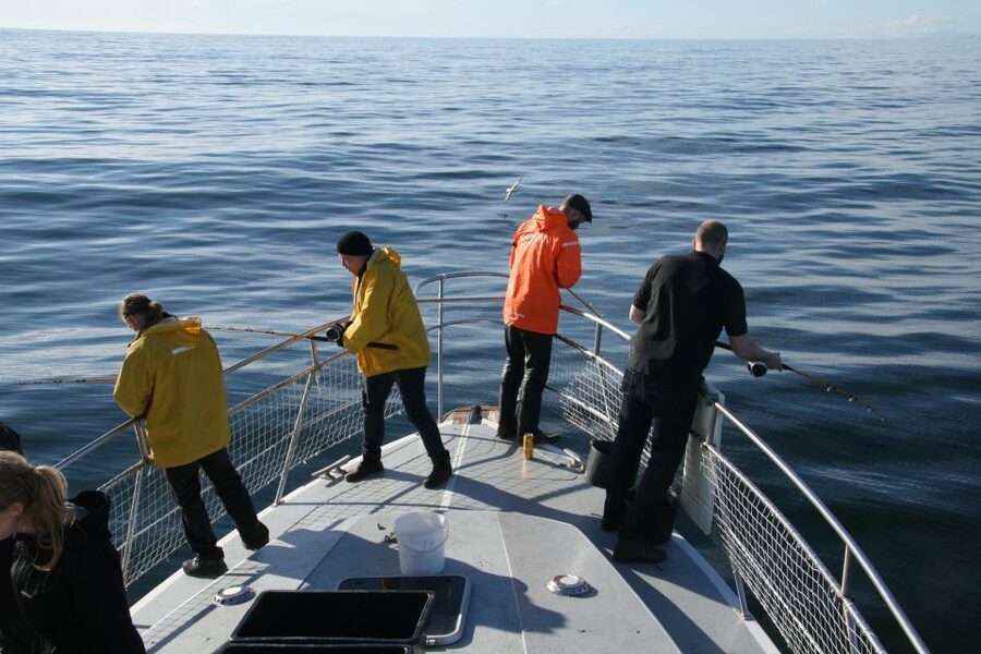 Reykjavik: 3-Hour Sea Angling Gourmet Experience Tour - Meeting Jóhanna at Hlésgata Harbour, then getting set up fast