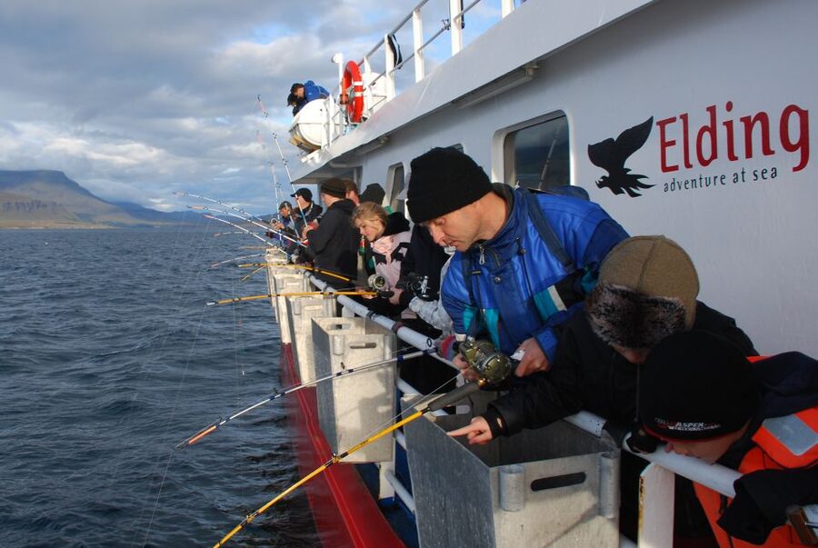Reykjavik: 3-Hour Sea Angling Gourmet Experience Tour - Price and value: when $176 per person makes sense
