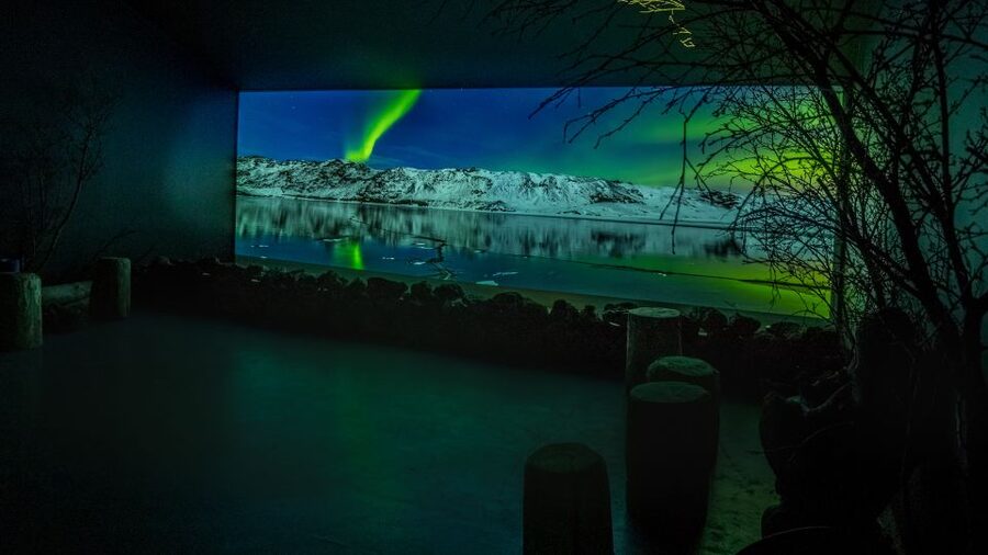 Reykjavik: Aurora Reykjavik The Northern Lights Center Entry - Grandi Harbour location: easy to fit into any Reykjavík schedule