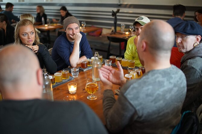 Reykjavik Beer & Booze Tour - Price and What You Actually Get for $131.87