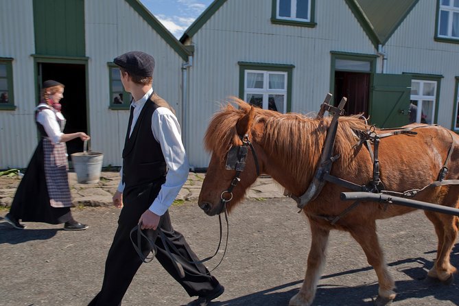Reykjavik City Card 24-hour - Straeto Bus vs. Walking: The Real Transit Strategy