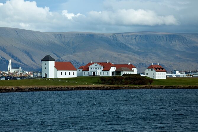 Reykjavik City Private Tour - Perlan: Hot Water Museum, Glass Dome, and Photo-Friendly Quirks