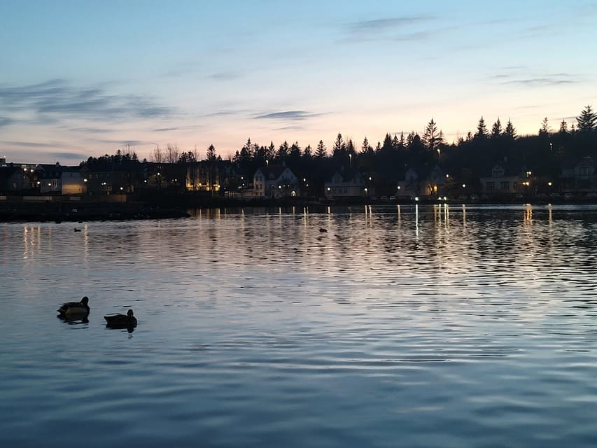 Reykjavik City Private Tour: Perlan, Arbaer & City Landmarks - Should You Book This Reykjavik Private Tour?
