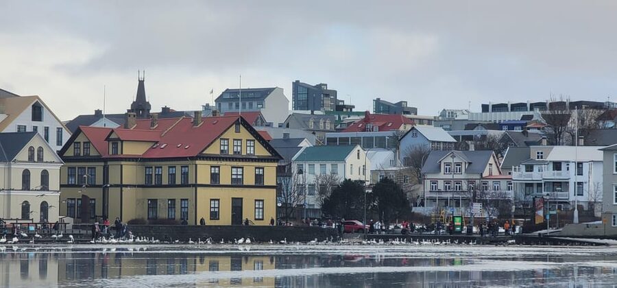 Reykjavik City Private Tour: Perlan, Arbaer & City Landmarks - Morning Start: Pickup, Transfer, and Getting Oriented at Hallgrímskirkja