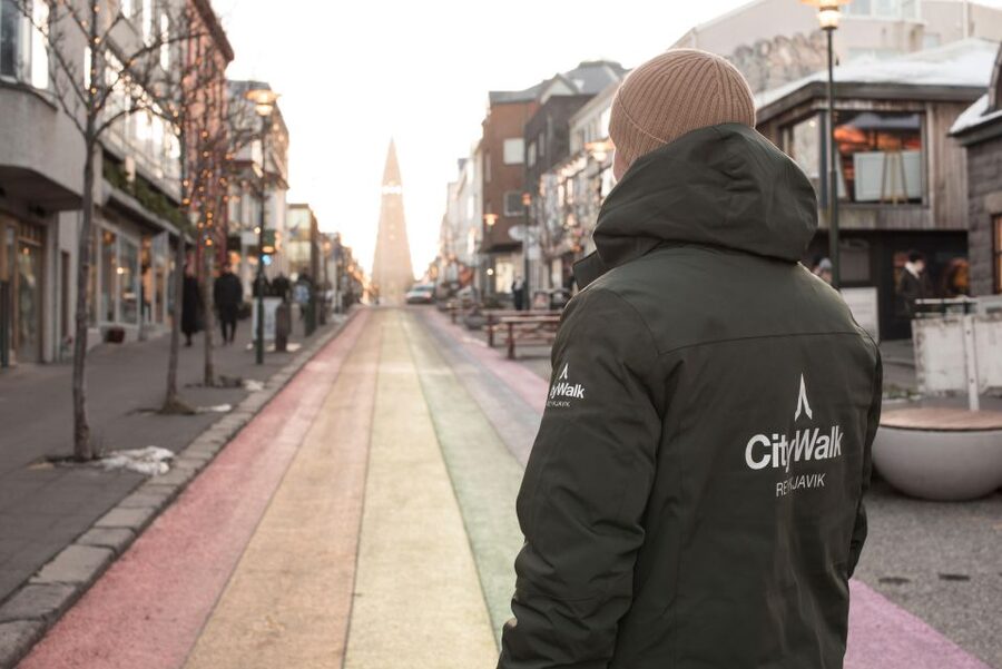 Reykjavik: City Walking tour in Small Group with Local Guide - 2.5 Hours On Foot, Mostly Downhill, With a Local at Your Side