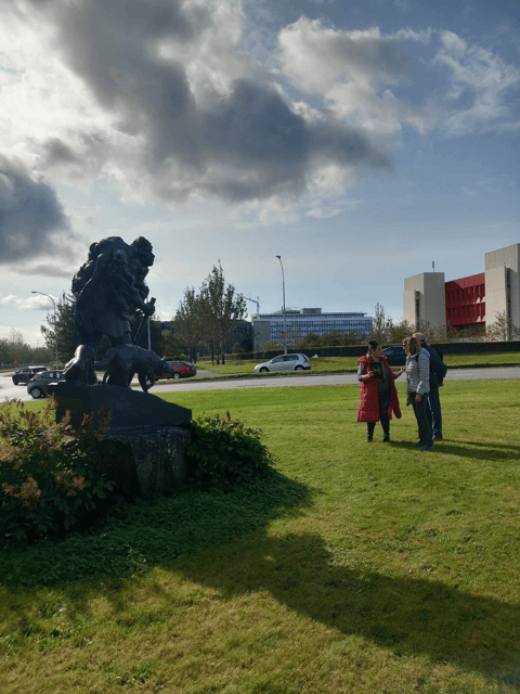 Reykjavik: Discover the Cultural Soul of Iceland - Lake Tjörnin Photo Stop: Small Water, Big Atmosphere
