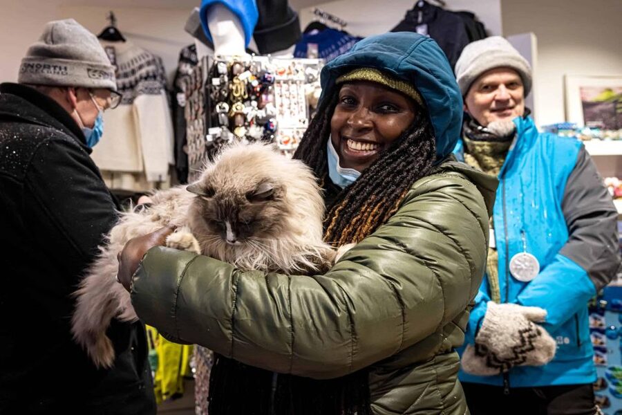 Reykjavik: Feline-Focused City Walking Tour - Cats, Folklore, and Downtown Reykjavik: Why This Walk Works