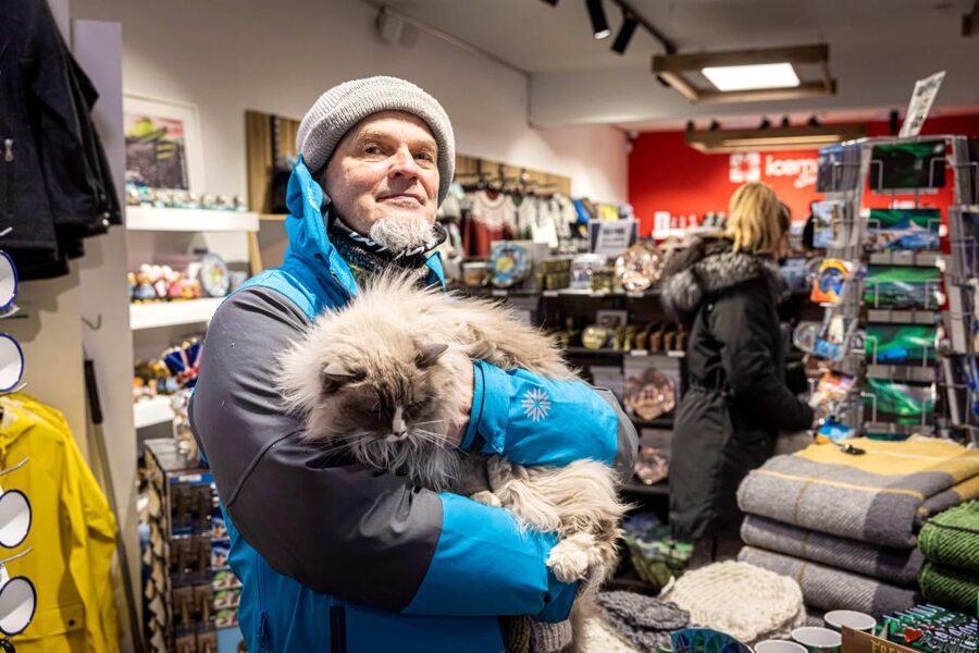 Reykjavik: Feline-Focused City Walking Tour - Ingólfstorg, Gyllti kötturinn, and Lake Tjornin: The Route Becomes a Cat Map