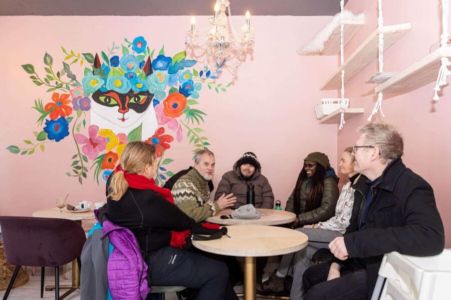 Reykjavik: Feline-Focused City Walking Tour - Guides, Vibe, and Small Group Energy