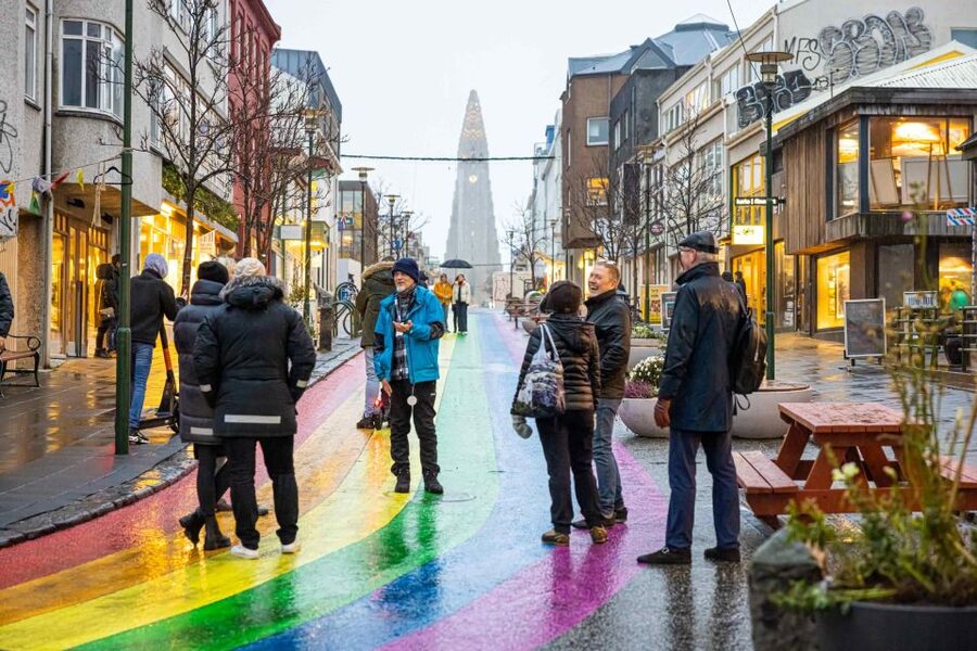 Reykjavik: Feline-Focused City Walking Tour - Price and Value: Is $74 Worth It?