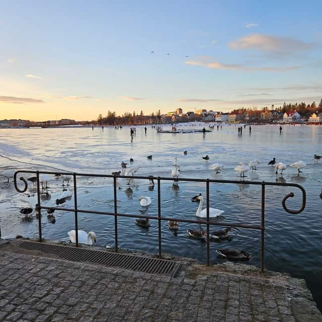 Reykjavik: Food Tour by locals - Old Harbor House Start, then a short walk into Reykjavik food mode