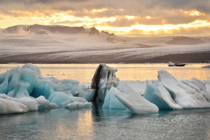 Reykjavik: Glacier Lagoon & Fjaðrárgjúfur Canyon Small-Group Tour - Diamond Beach: black sand plus ice blocks gives you variety in one short stop