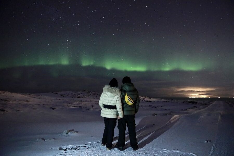 Reykjavík: Golden Circle, Blue Lagoon & Northern Lights Tour - Price and logistics: is $345 good value for what you get?