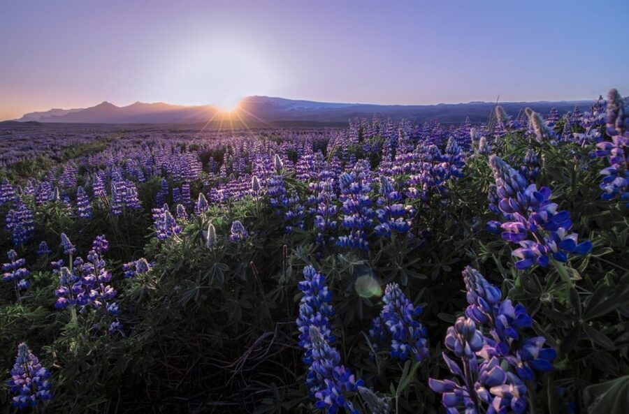 Reykjavik: Golden Circle, Tomato Farm and Kerið Crater Tour - Gullfoss: where the wind is real and the views are worth it