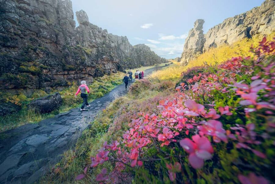 Reykjavik: Golden Circle Tour & Laugarás Lagoon Entry - Þingvellir National Park: Rift Valley Views With Real Context