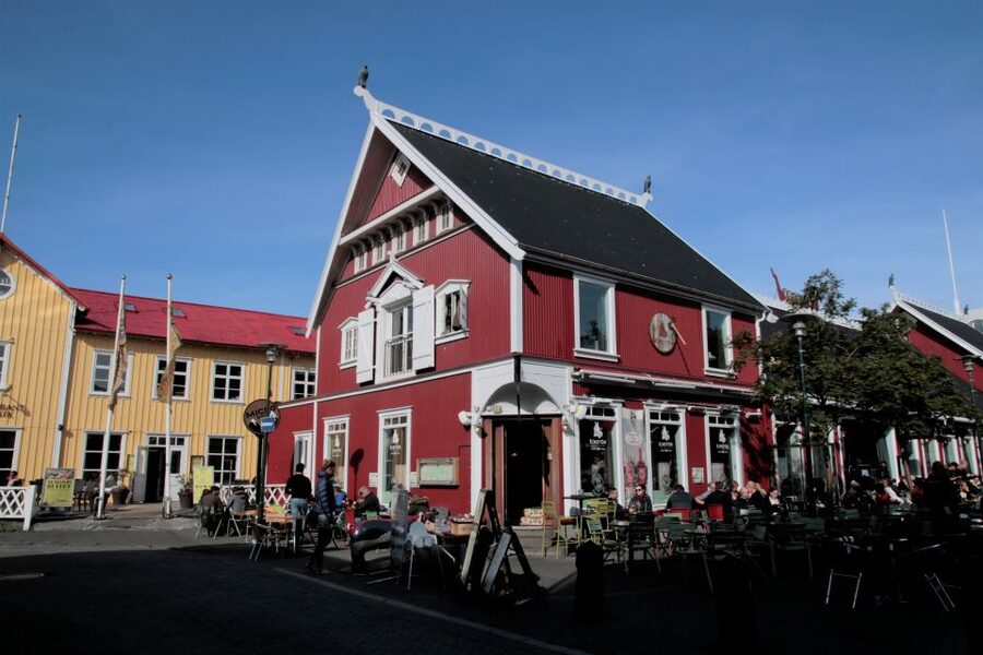 Reykjavik: Guided City Walking Tour - Key highlights to look for