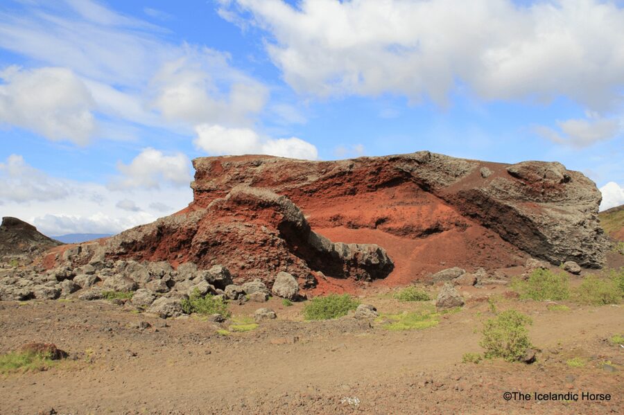 Reykjavík: Horse Riding Tours - Key points before you go