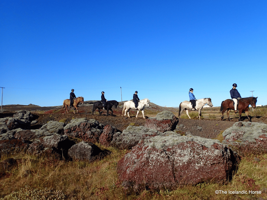 Reykjavík: Horse Riding Tours - Near Reykjavík, but you feel far from it all