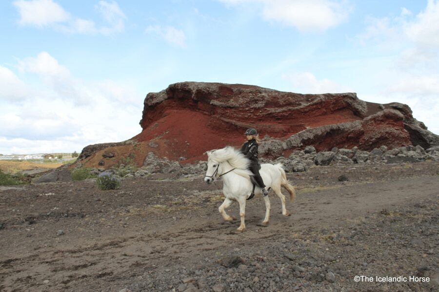 Reykjavík: Horse Riding Tours - The route highlights: Redhill views and volcanic terrain at 2-hour pace