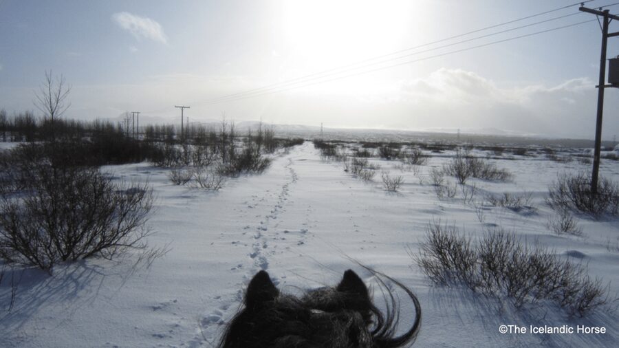 Reykjavík: Horse Riding Tours - Gear that keeps you comfortable when the weather shifts