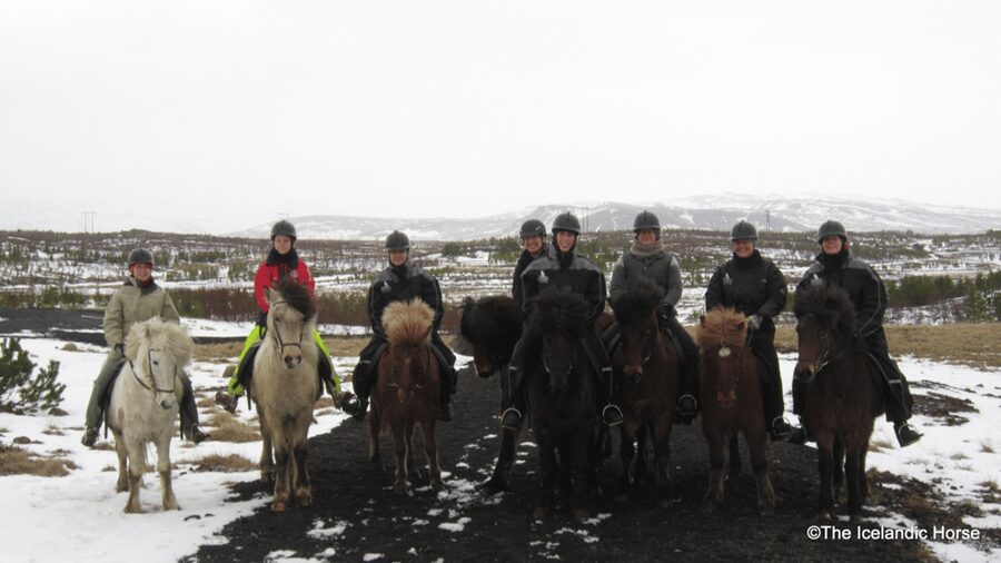 Reykjavík: Horse Riding Tours - Guides you’ll remember: owners, humor, and lots of photos