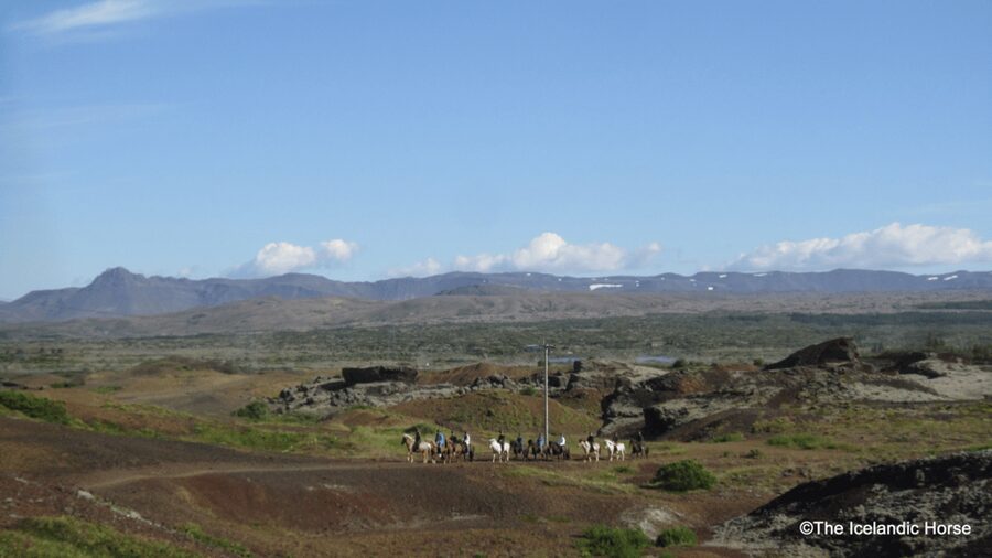 Reykjavík: Horse Riding Tours - Price and value: is $200 worth a short ride?